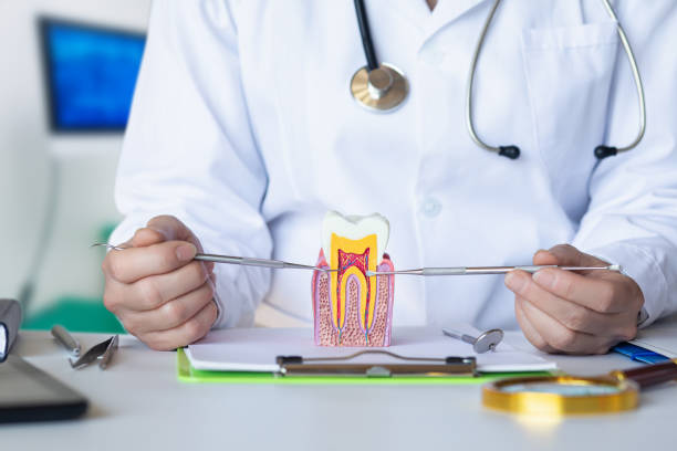 Best Urgent Dental Care for Toothache in Wilmington Manor, DE